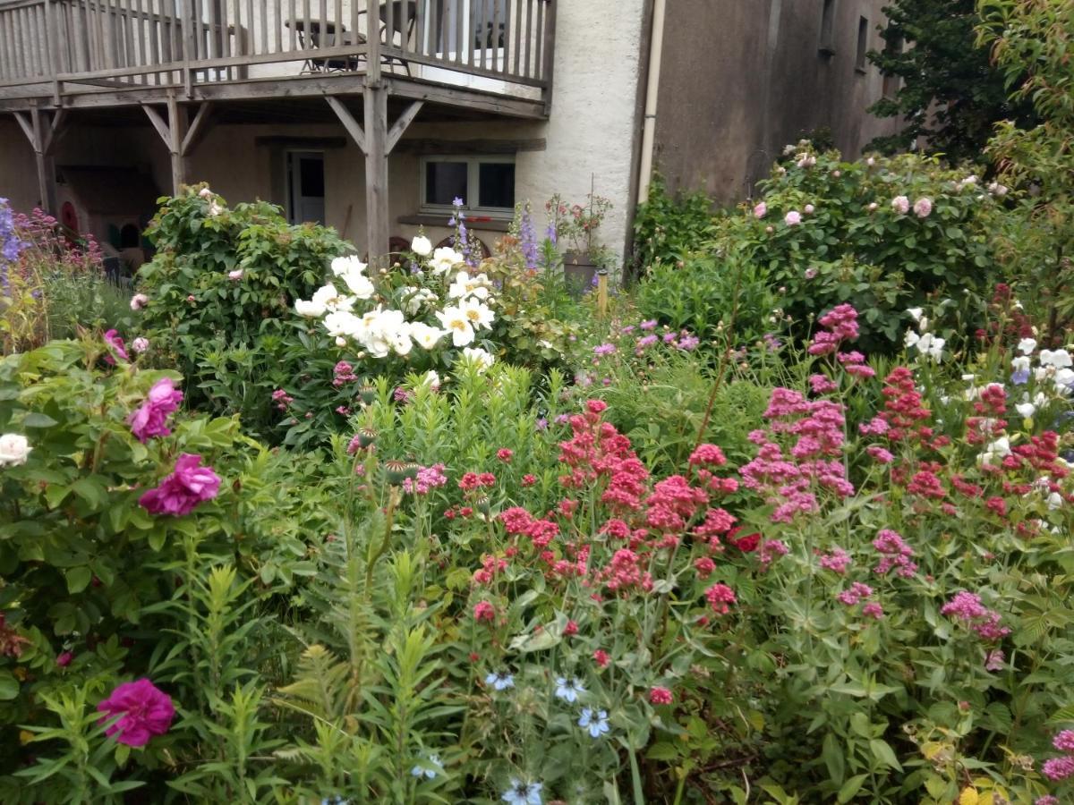 Bed and Breakfast La Grange Aux Hirondelles Athienville Esterno foto